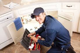 Best Garbage Disposal Repair and Installation  in Dacula, GA